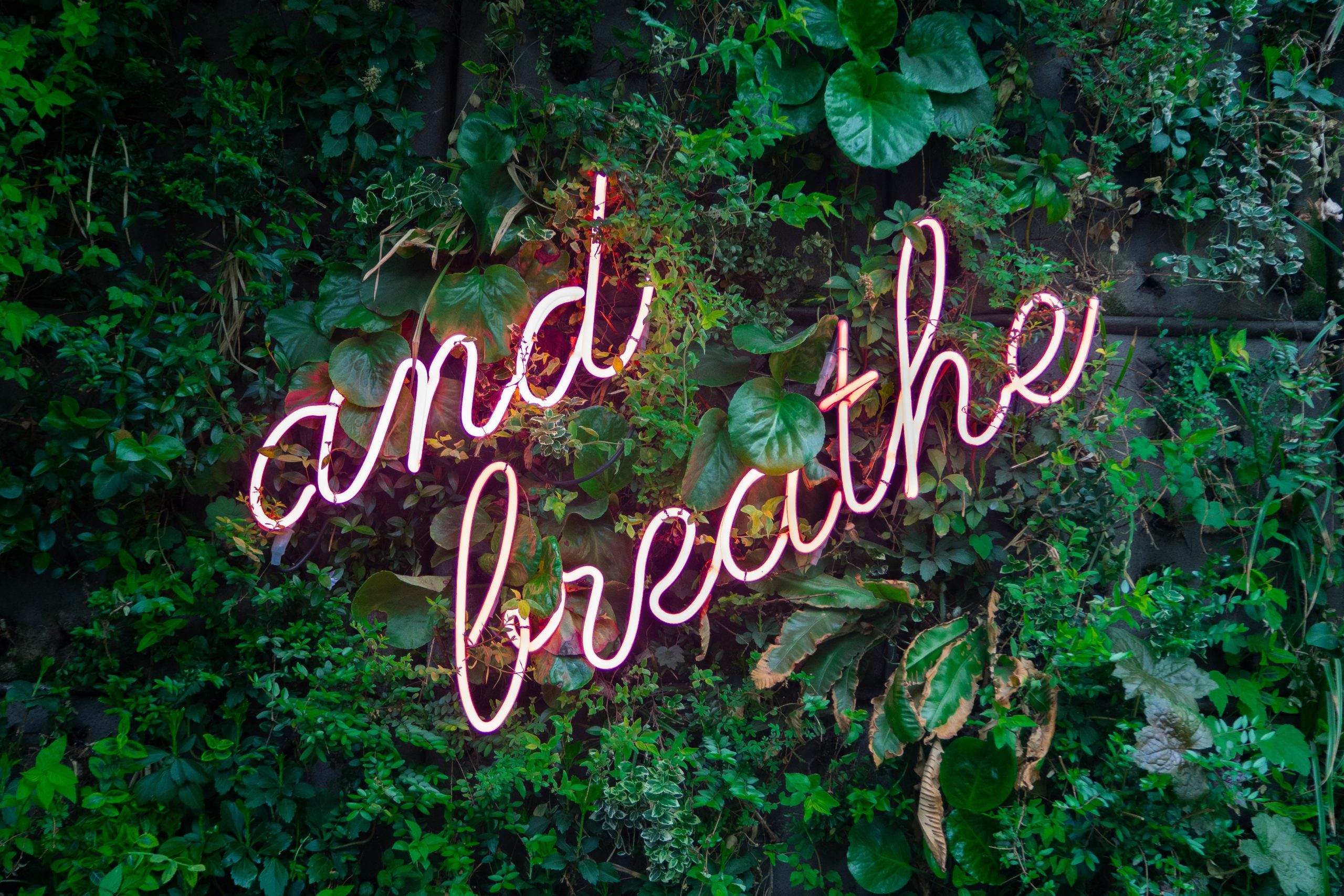 meditate for breast cancer fundraiser idea max-van-den-oetelaar-buymYm3RQ3U-unsplash