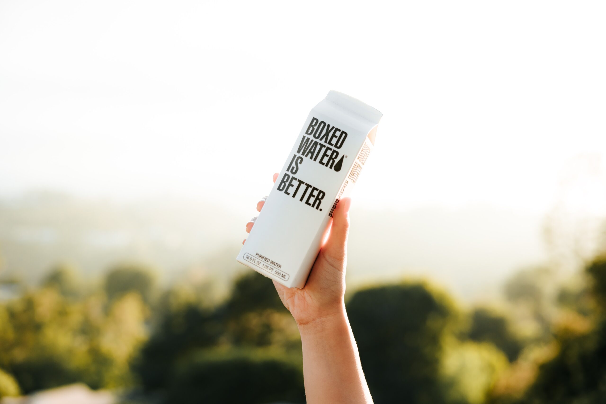 how to plan a sistainable event - tyler-nix--unsplash