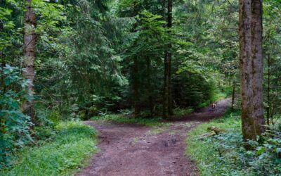 Sweepstakes vs. Raffle: Which Is Right for Your Nonprofit Fundraiser?